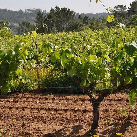 Quinta Da Serrana โอเร็ม ภายนอก รูปภาพ