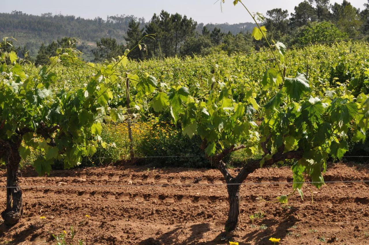 Quinta Da Serrana โอเร็ม ภายนอก รูปภาพ