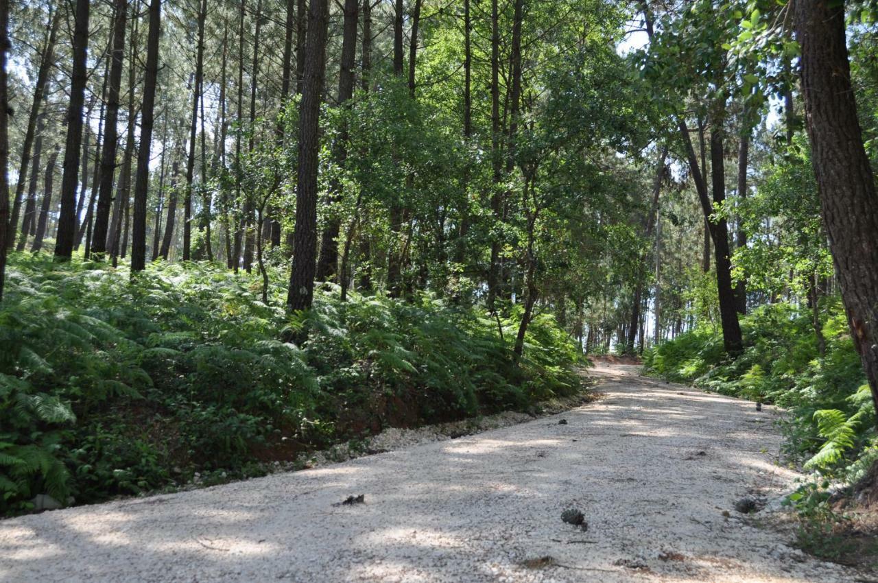 Quinta Da Serrana โอเร็ม ภายนอก รูปภาพ