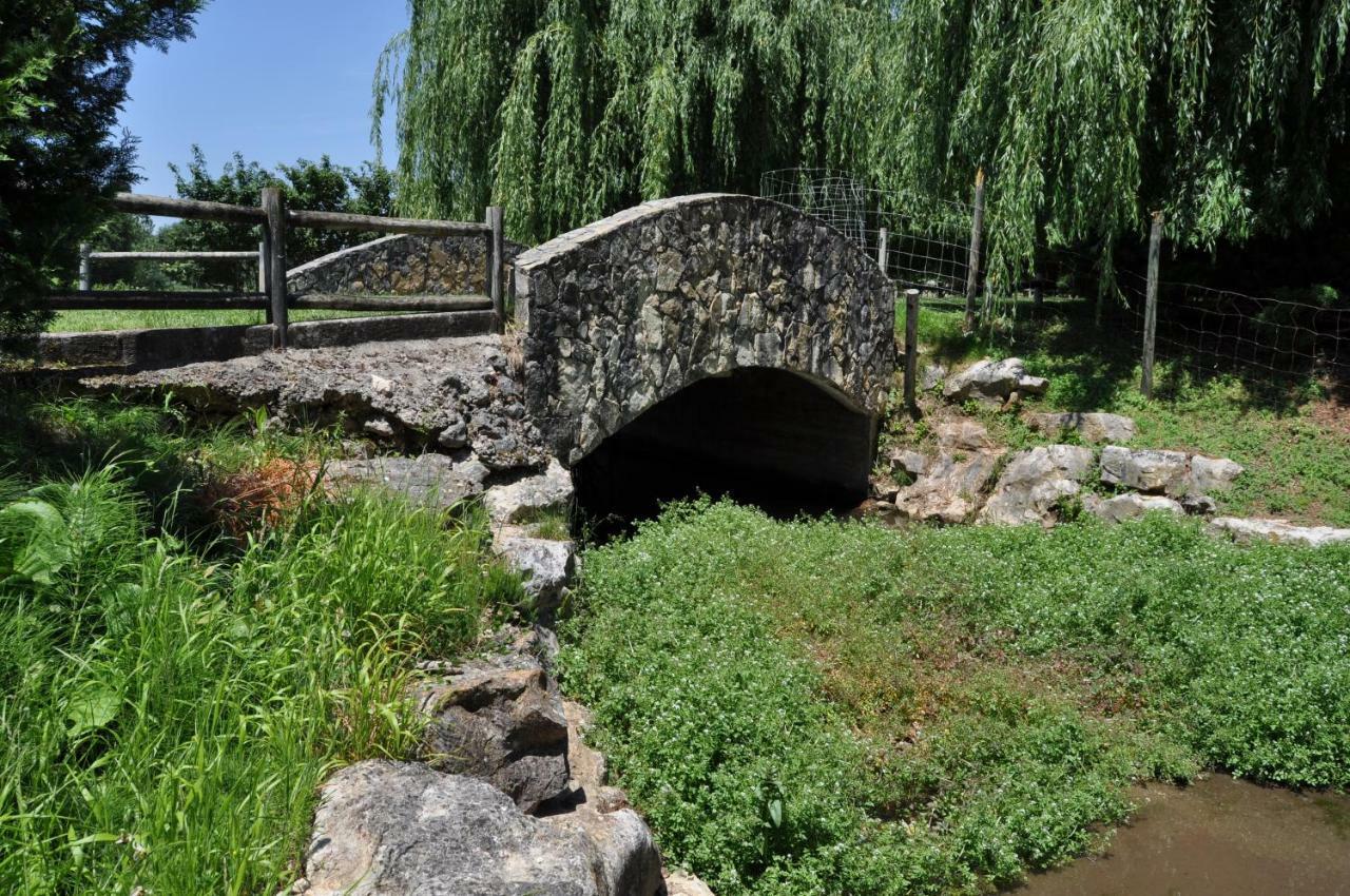 Quinta Da Serrana โอเร็ม ภายนอก รูปภาพ